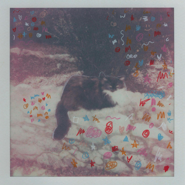 'cats pt. 2' cover art