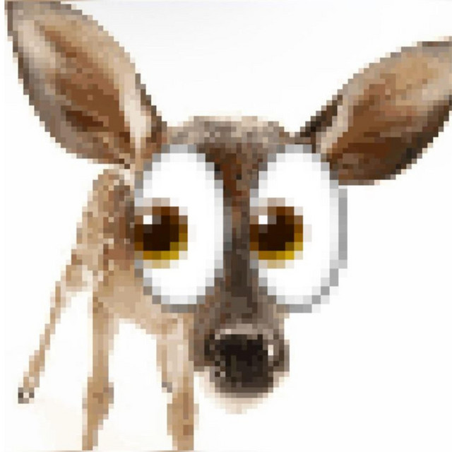 'Deer' cover art