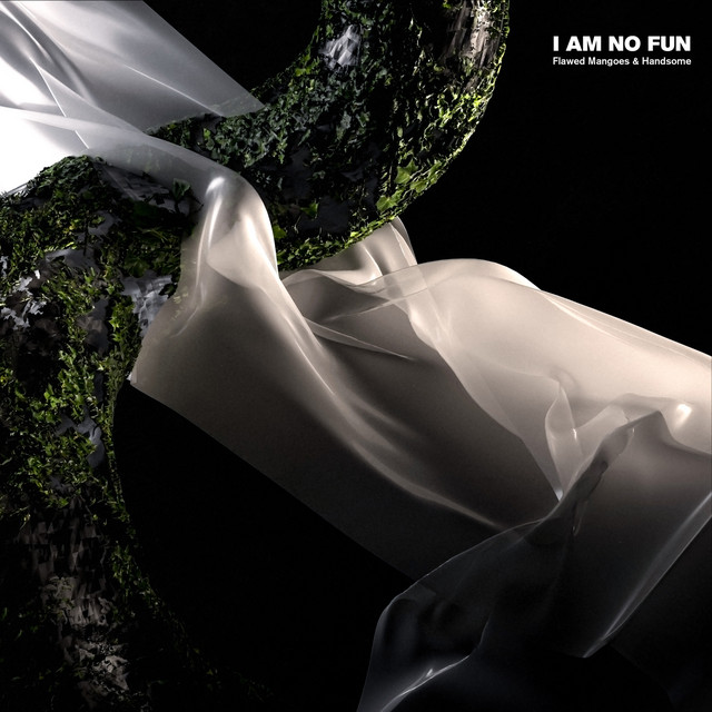 'I Am No Fun' cover art