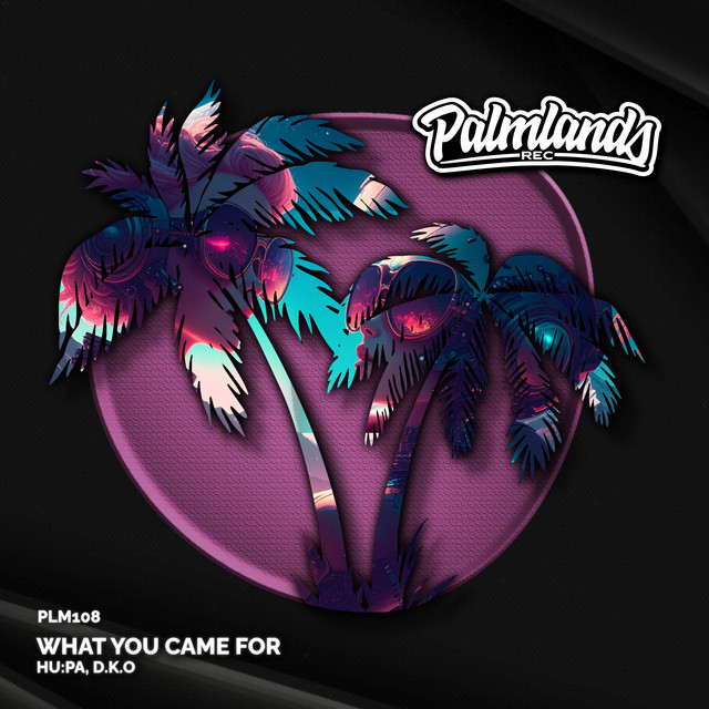 'What You Came For' cover art
