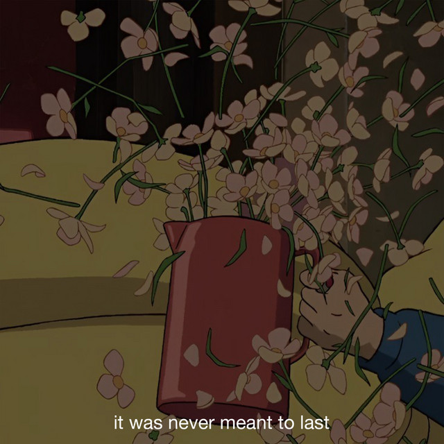 'it was never meant to last' cover art