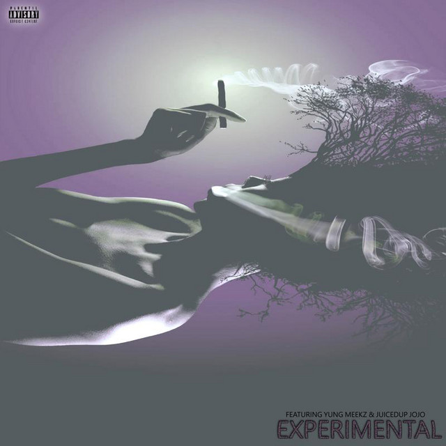 'Experimental' cover art