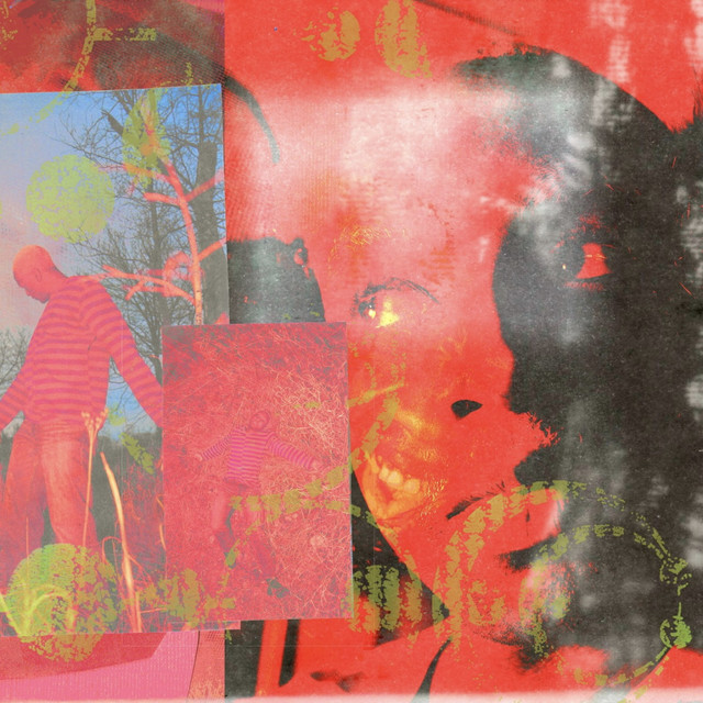 'revenge' cover art