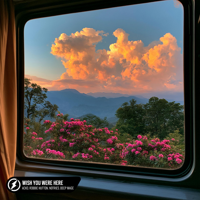 'Wish You Were Here' cover art