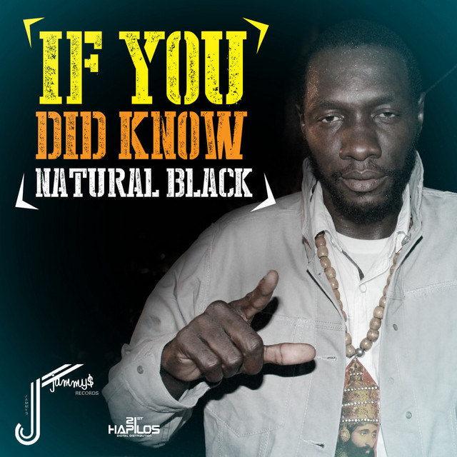 'If You Did Know - Single' cover art