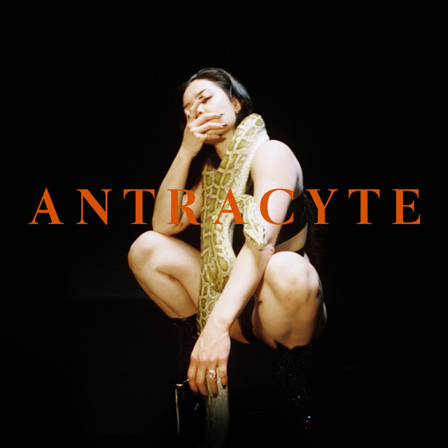 'Antracyte' cover art