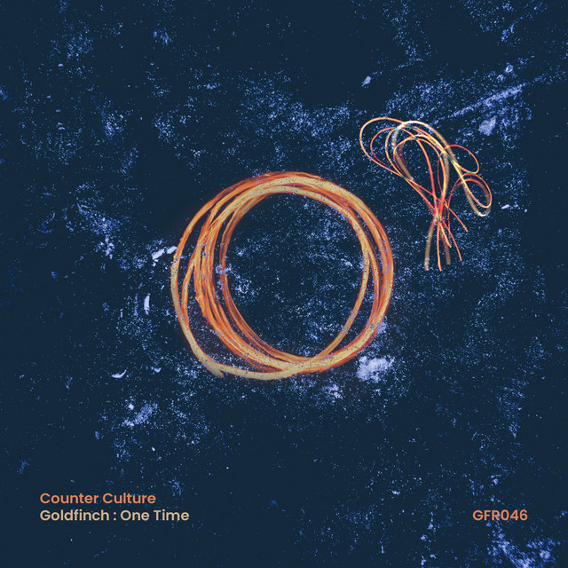 'Goldfinch / One Time' cover art