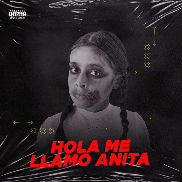 'HOLA ME LLAMO ANITA' cover art