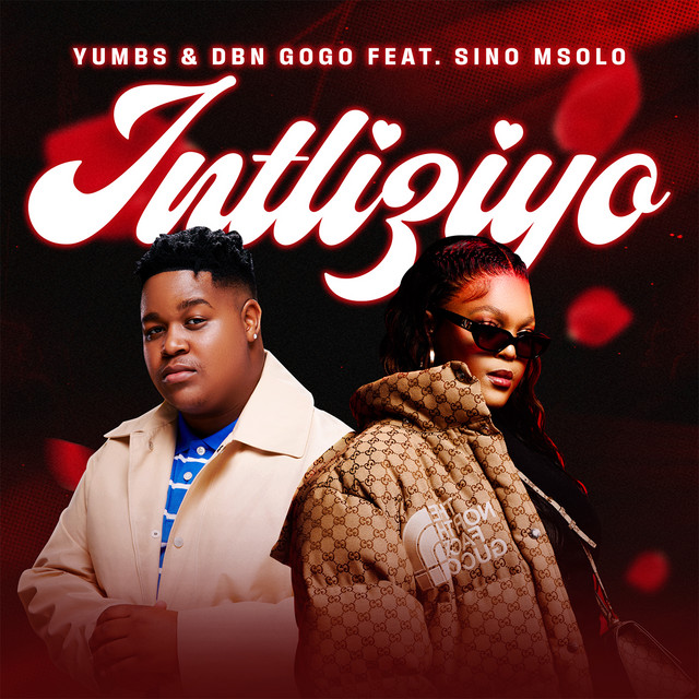 'Intliziyo (feat. Sino Msolo)' cover art