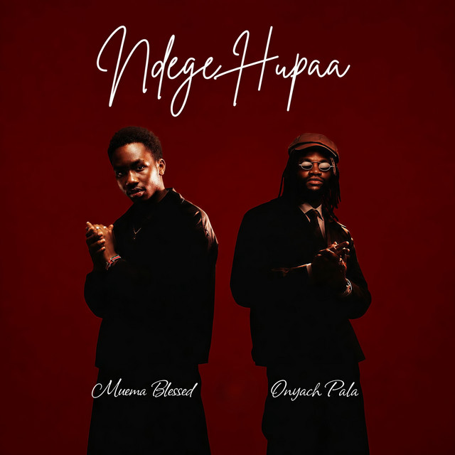 'Ndege Hupaa' cover art