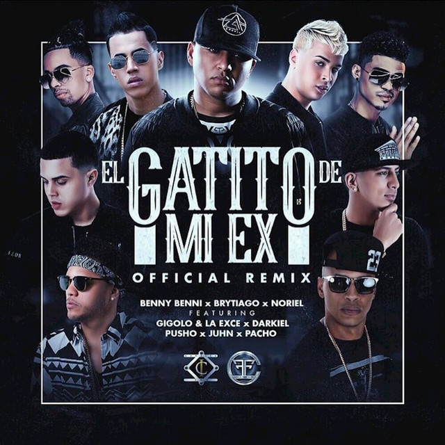 'El Gatito de Mi Ex (Remix)' cover art