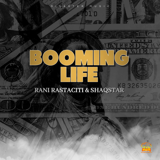 'Booming Life' cover art