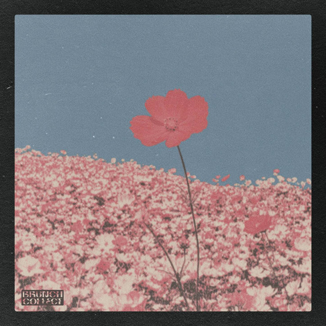 'luciole' cover art