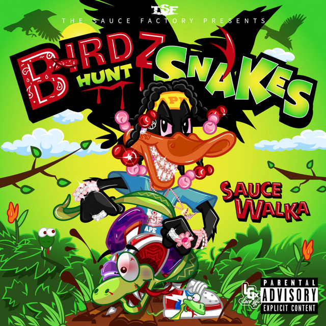 'Birdz Hunt Snakes' cover art
