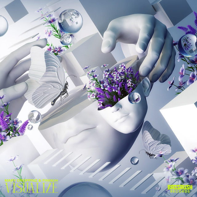 'Visualize' cover art