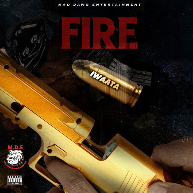 'Fire' cover art