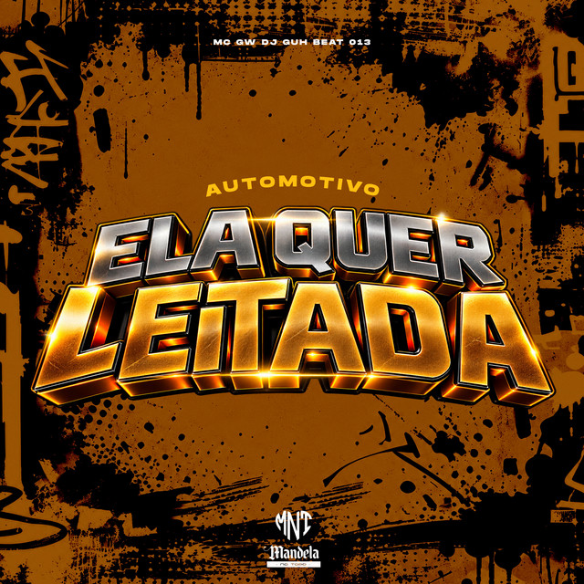 'Automotivo Ela Quer Leitada' cover art