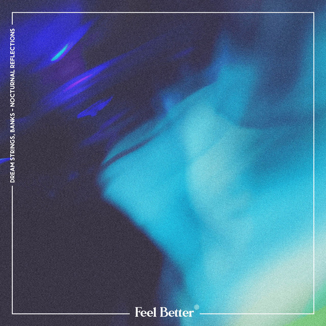 'Nocturnal Reflections' cover art