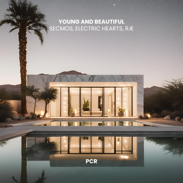 'Young And Beautiful' cover art