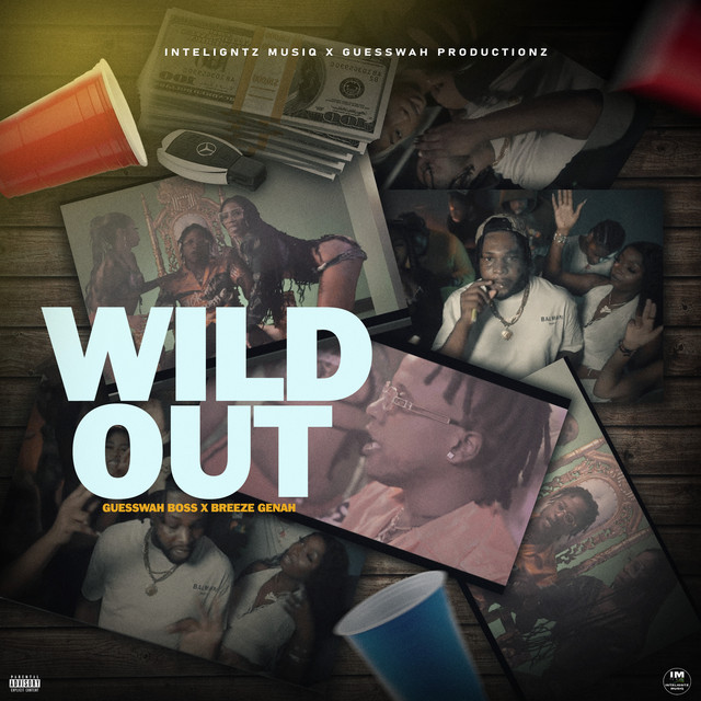 'Wild Out' cover art