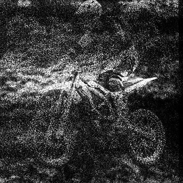 'Fly' cover art