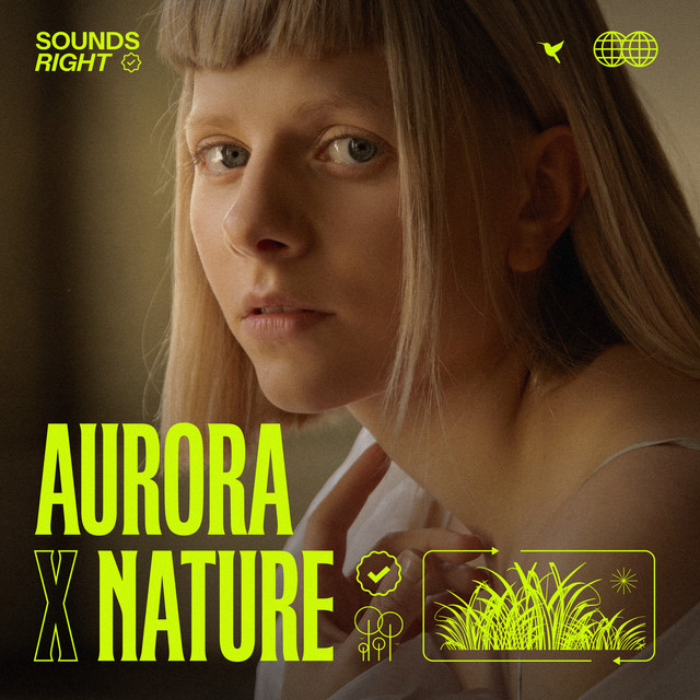 'A Soul With No King - Remix (feat. NATURE)' cover art