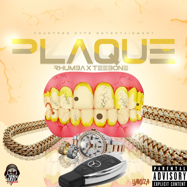 'Plaque' cover art