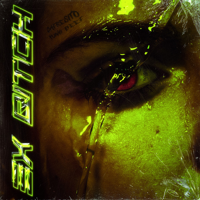 'Ex Bitch' cover art
