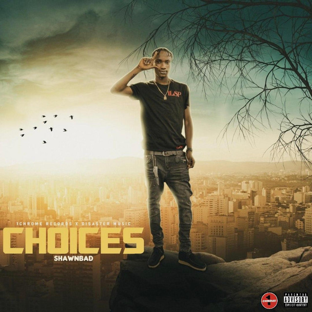 'Choices' cover art