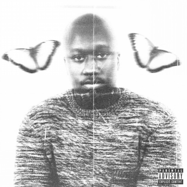 'sheik' cover art