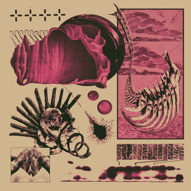 'houstoncomet' cover art
