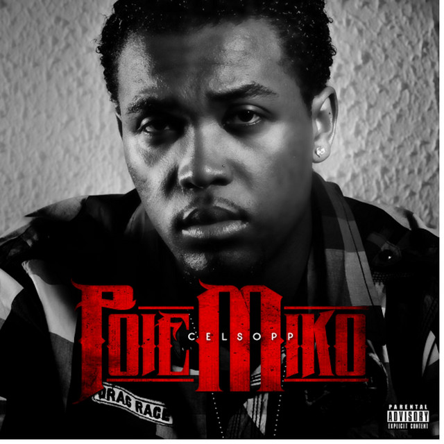 'Polemiko (Digital)' cover art