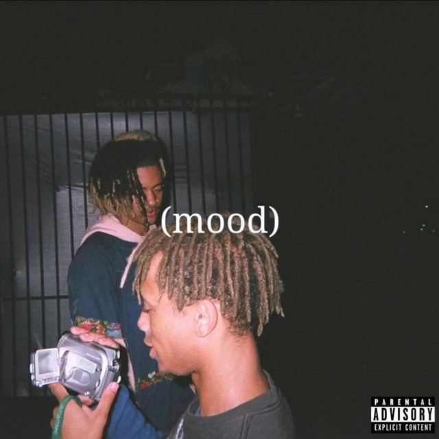 '(Mood)' cover art