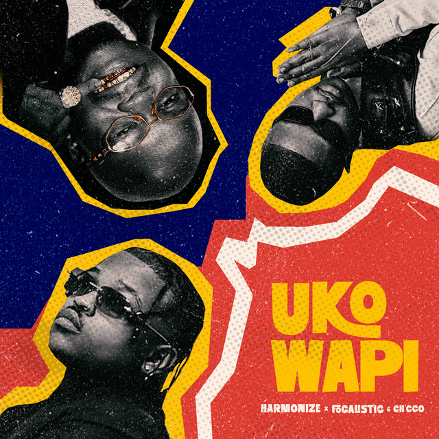 'Uko Wapi' cover art