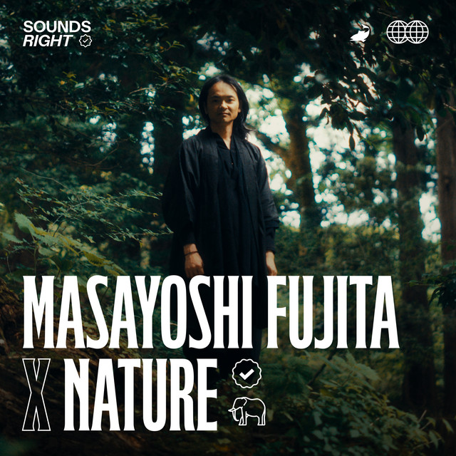 'As Dusk Falls (feat. NATURE)' cover art
