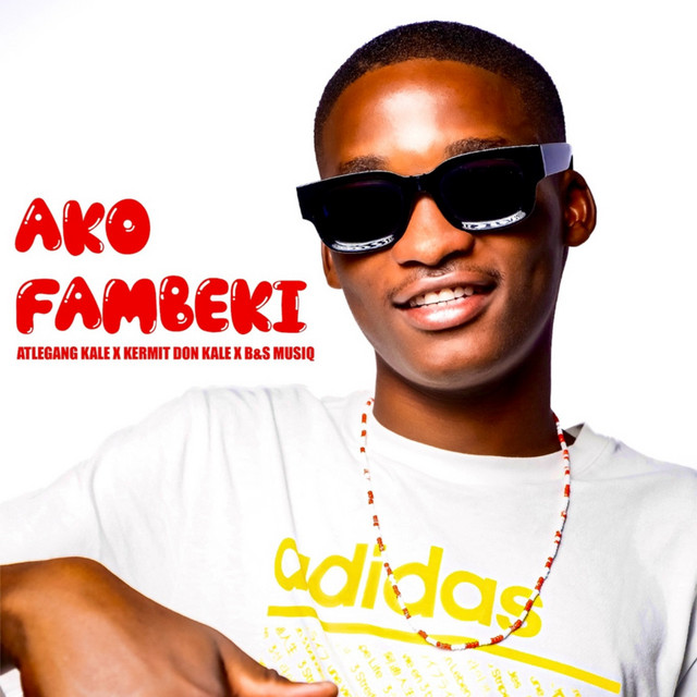 'Ako-Fambeki' cover art
