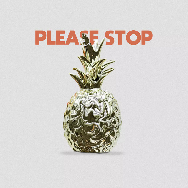 'Please Stop' cover art