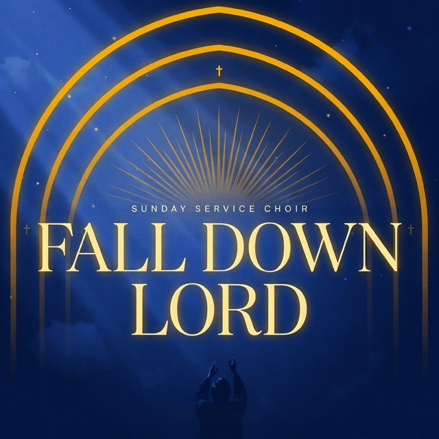 'Fall Down Lord' cover art