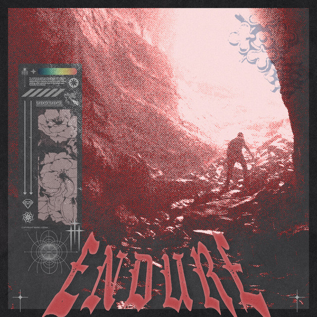 'Endure' cover art
