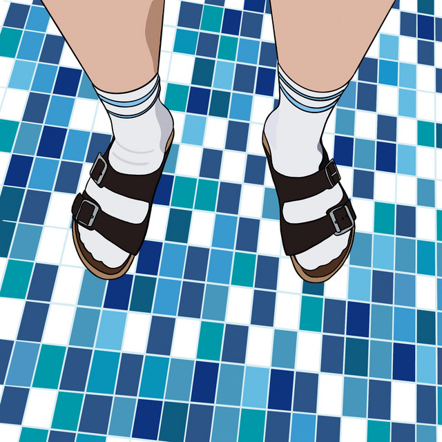 'Birkenstocks & Socks' cover art