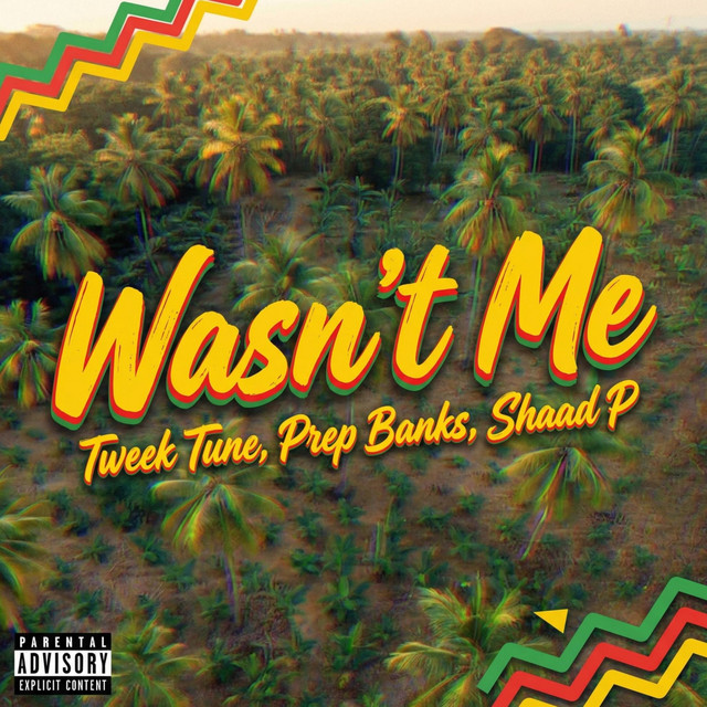 'Wasn't me' cover art