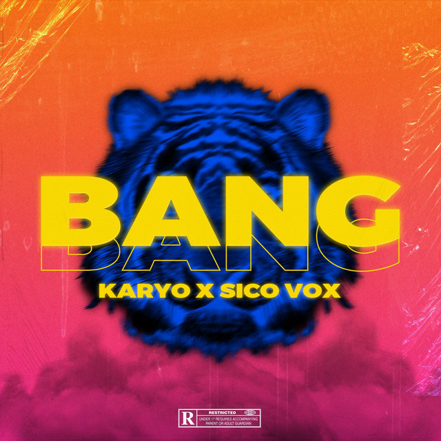 'BANG' cover art