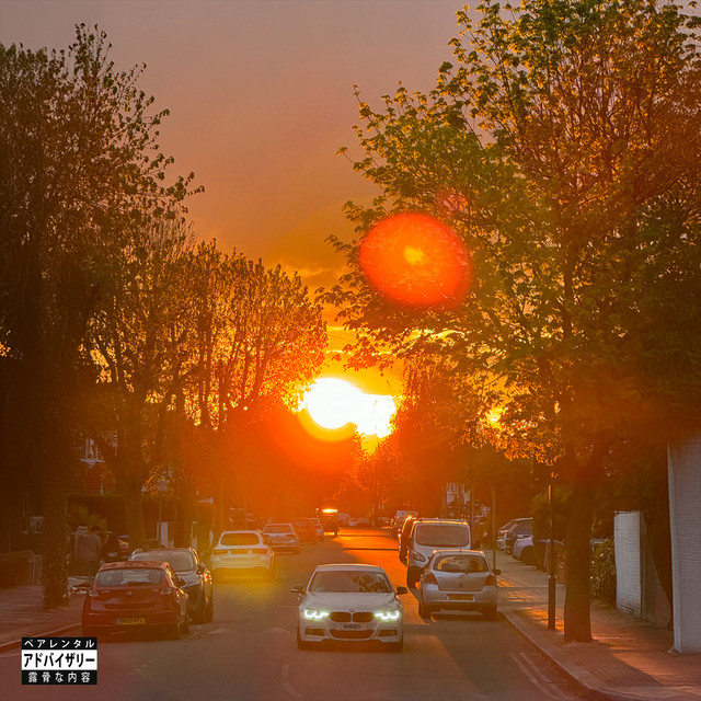 'No Vi$ible Means Of Income 3' cover art