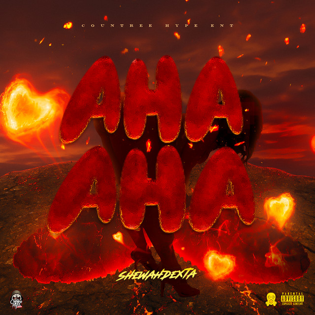 'Aha Aha' cover art