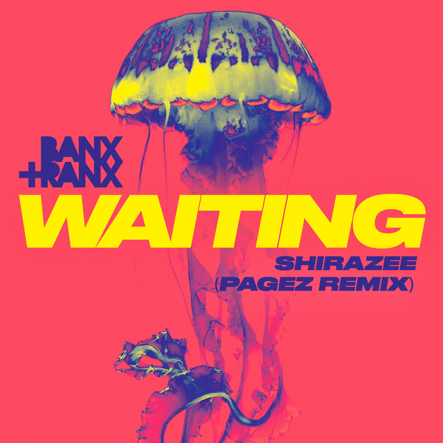 'Waiting (feat. Shirazee) [PAGEZ Remix]' cover art
