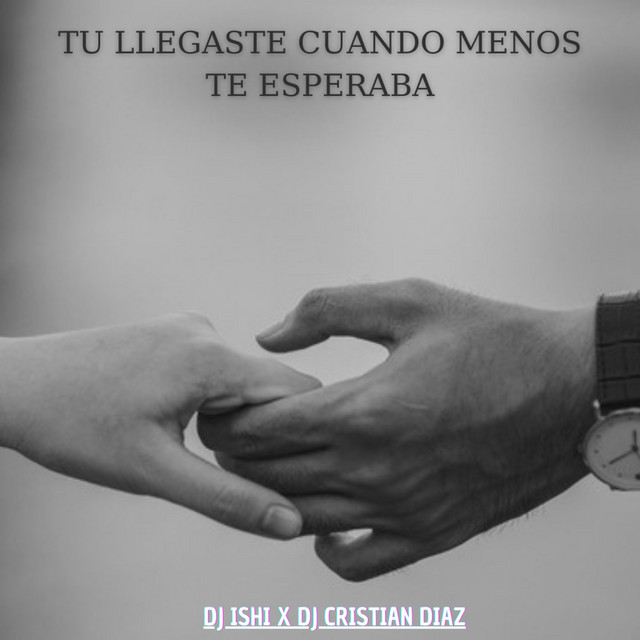 'Tu Llegaste Cuando Menos Te Esperaba' cover art