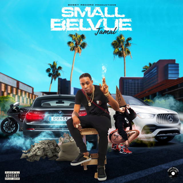 'Small Belvue' cover art