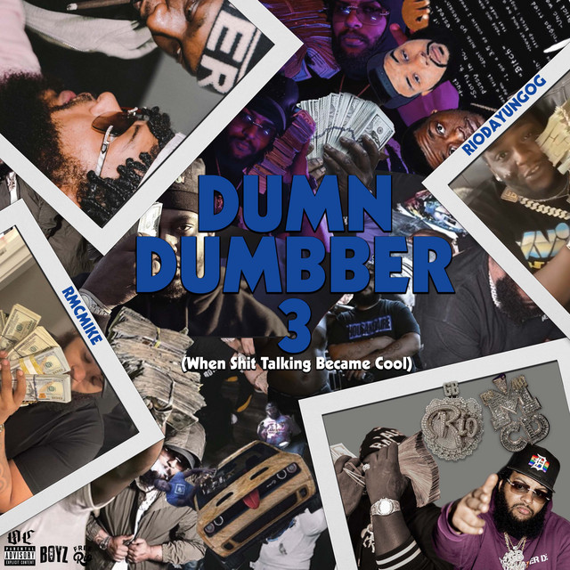 'Dum N Dumbber 3' cover art