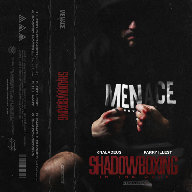 'Shadowboxing in the Dark' cover art