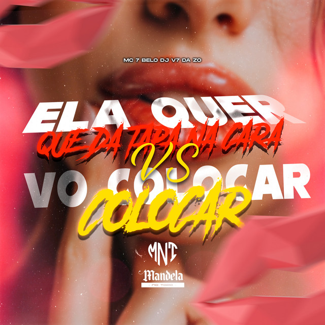 'Ela Quer Que da Tapa na Cara Vs Vo Colocar Colocar' cover art